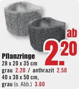 B1 Discount Baumarkt Pflanzringe Angebot