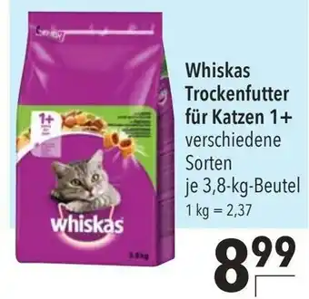 CITTI Markt Whiskas Trockenfutter 3.8kg Angebot