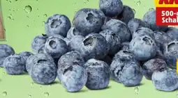 PENNY Heidelbeeren XXL Angebot