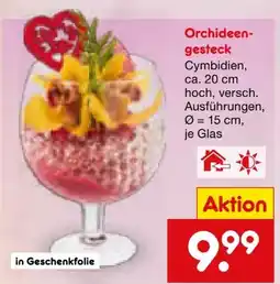 Netto Marken-Discount Orchideengestecke Cymbidien Angebot
