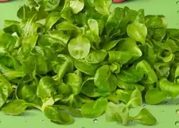 PENNY Marktliebe Feldsalat Angebot
