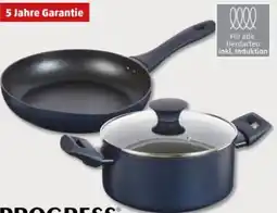 PENNY Progress Kochgeschirr METALLICS Angebot