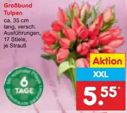 Netto Marken-Discount Tulpen-Großbund Angebot