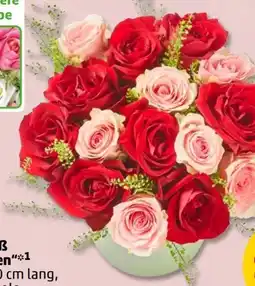 PENNY Rosen-Strauß Angebot