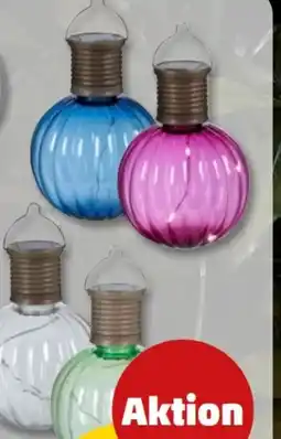 PENNY LED Deko-Solarleuchte Angebot