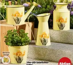 PENNY Deko-Accessoires Angebot