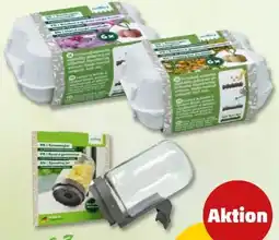 PENNY Romberg Zur Anzucht Angebot