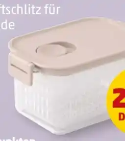 PENNY Brabantia Frischhaltebox Angebot