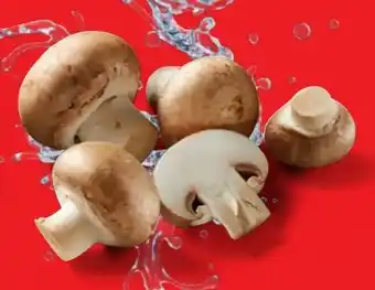 Lidl Braune Kulturchampignons Angebot