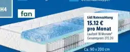 Lidl f.a.n. 7-Zonen-Tonnen Taschenfederkern Matratze Angebot