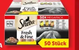 Lidl Sheba Fresh & Fine Angebot