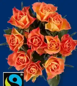 Lidl Fairtrade-Rosen Angebot