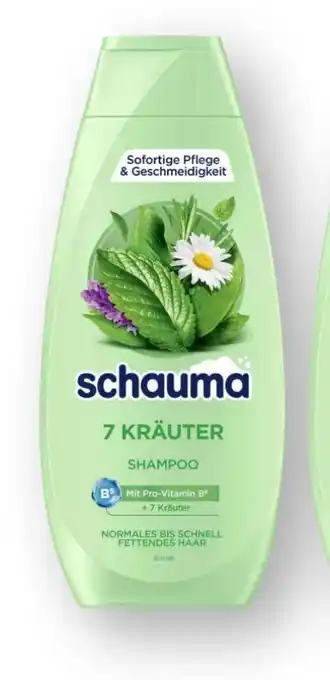Scheck-in-Center Schwarzkopf Schauma Shampoo Angebot