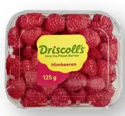 Scheck-in-Center Driscoll's Himbeeren Angebot
