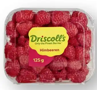 Scheck-in-Center Driscoll's Himbeeren Angebot