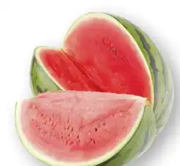Scheck-in-Center Wassermelonen Angebot
