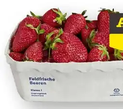 Scheck-in-Center Erdbeeren Angebot