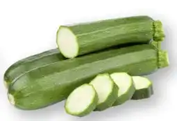 Scheck-in-Center Zucchini Angebot