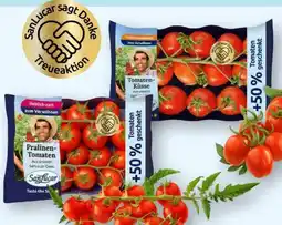 Scheck-in-Center SanLucar Cherry-Rispentomaten Pralinen Angebot