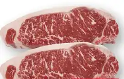 Scheck-in-Center Roastbeef Angebot