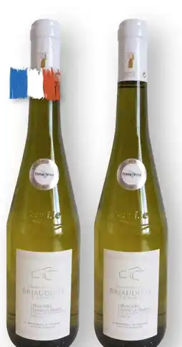 Scheck-in-Center Domaine de la Briaudière Muscadet Sèvre & Maine Sur Lie Angebot