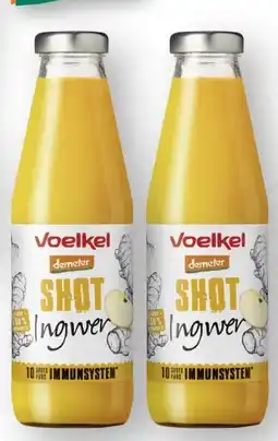 Scheck-in-Center Voelkel Ingwer-Shot Angebot