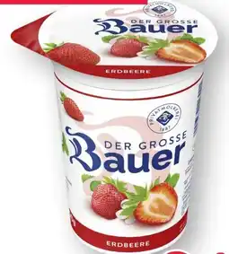 Scheck-in-Center Bauer Der Große Fruchtjoghurt Angebot