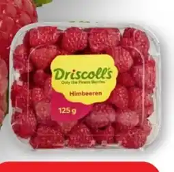 Edeka Driscoll's Himbeeren Angebot
