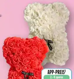 Edeka Trockenblumen Schaumrosen Bär Angebot
