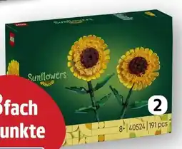 Edeka LEGO Sonnenblumen 40524 Angebot