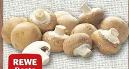 nahkauf Rewe Beste Wahl Champignons Angebot