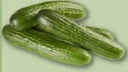 REWE Center Mini Gurke Angebot