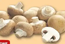 REWE Center Rewe Beste Wahl Champignons Angebot