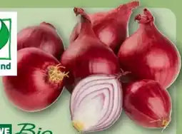 REWE Center Rewe Bio Bio-Speisezwiebeln Angebot