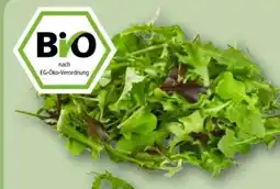 REWE Center Rewe Bio Crispy Salatmix Angebot