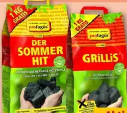 REWE Center proFagus Holzkohle Der Sommerhit Angebot