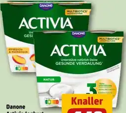 REWE Center Danone Activia Joghurt Angebot