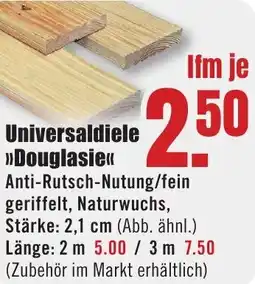 B1 Discount Baumarkt Universaldiele Douglasie Angebot