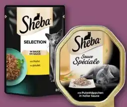 REWE Center Sheba Katzennahrung Angebot