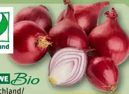 REWE Rewe Bio Bio-Speisezwiebeln Angebot