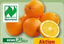REWE Rewe Bio Orangen Angebot