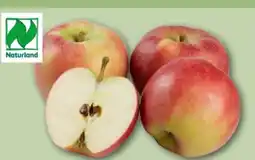 REWE Rewe Bio Tafeläpfel Angebot