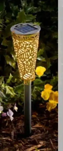 PENNY LED-Solarstecker Rost Angebot