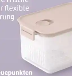 PENNY Brabantia Kühlschrank Frischhalteboxen Angebot