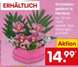 Netto Marken-Discount Orchideengesteck in Herzbox Angebot