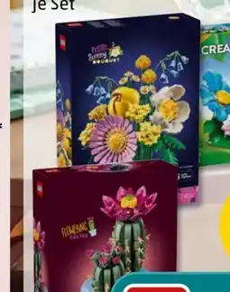 PENNY LEGO Botanicals Kleiner Sommerstrauß 10347 Angebot