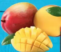 E-Center Mango Kent Angebot
