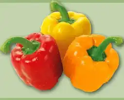 REWE Center Rewe Beste Wahl Paprika Mix Angebot