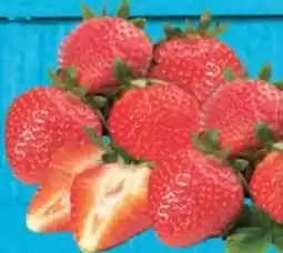 E-Center Erdbeeren Angebot