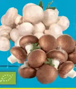 E-Center Bio-Champignons Angebot